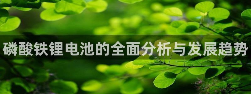 k 豆钱包下载