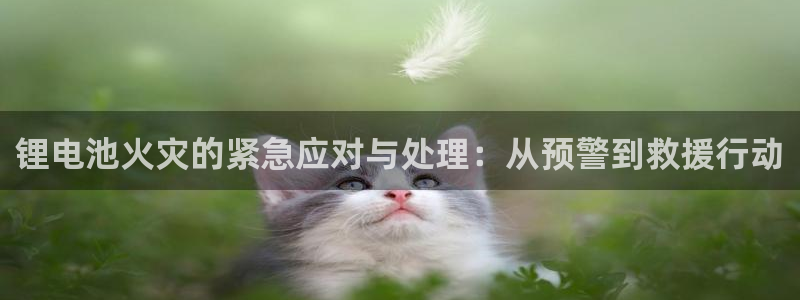k豆钱包怎么使用