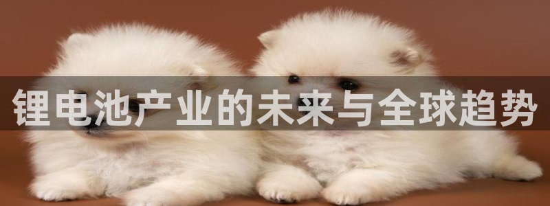 k豆钱包是啥