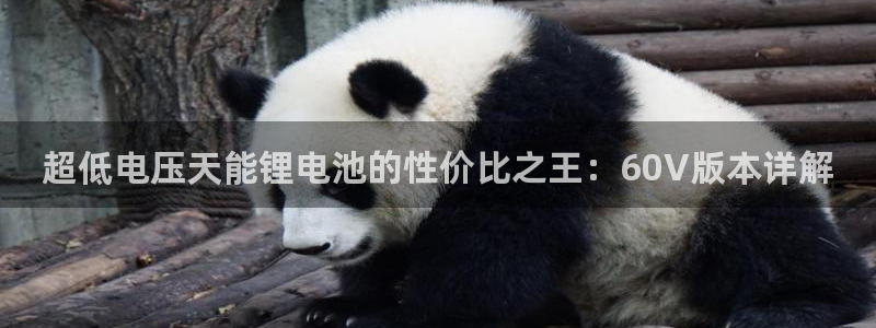 k豆钱包下载不了