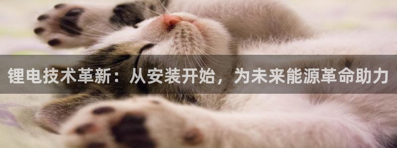 k豆钱包怎么提现