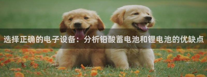 k豆钱包