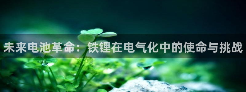 最新k豆钱包