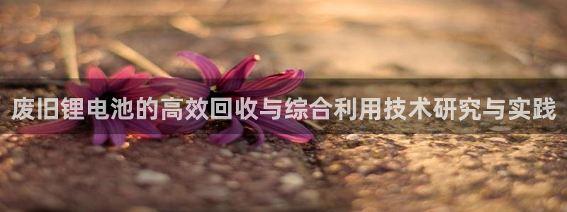 365钱包k豆钱包