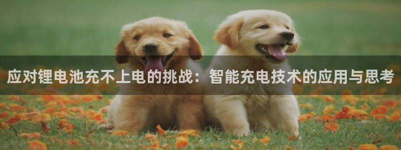 k豆钱包地址在哪看
