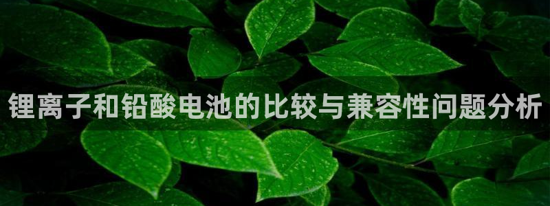 k豆钱包是正规平台吗
