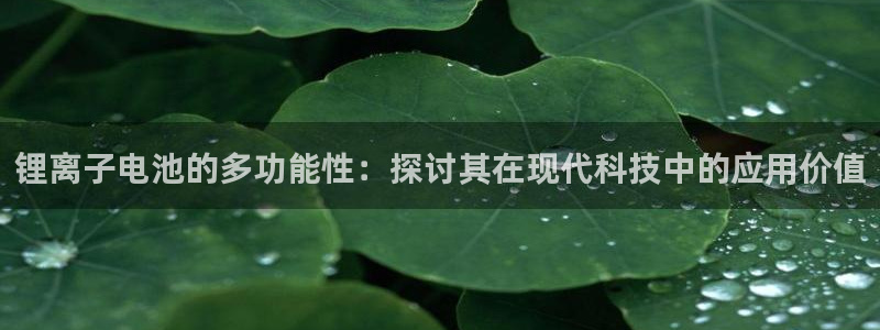k豆钱包网页