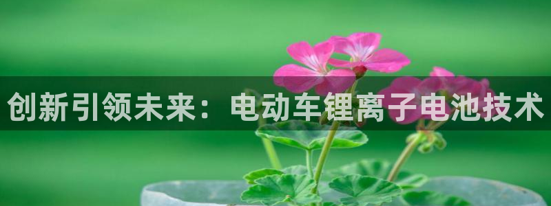 k豆钱包怎么样?