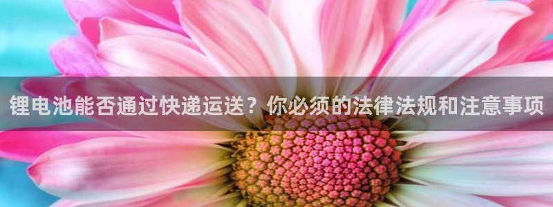 k豆钱包手机版下载