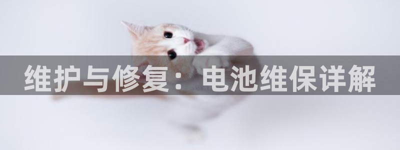 k豆钱包怎么买朋友的豆