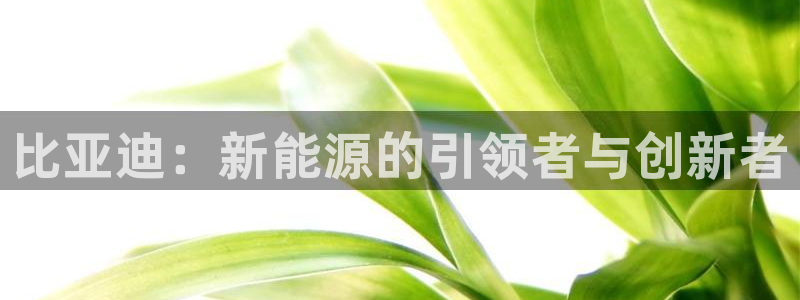 k豆钱包里