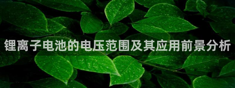 k豆钱包会风控吗