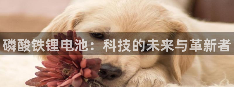 k豆钱包可靠吗
