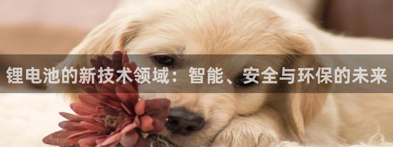 k豆下载钱包
