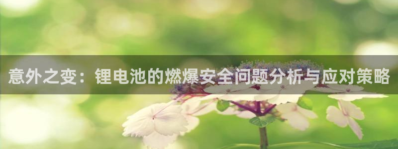 如何下载k豆钱包