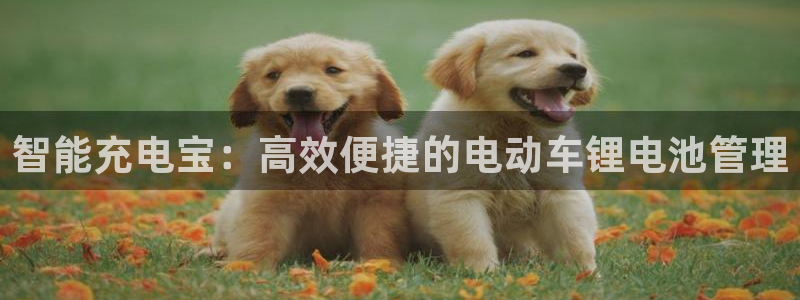 k豆钱包app官网