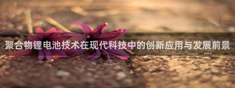 k豆钱包怎么样