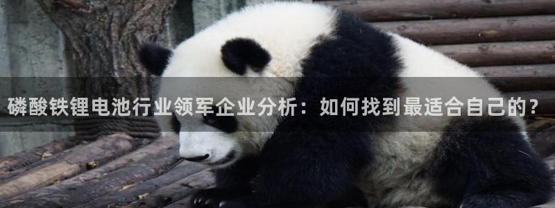 k豆pay钱包