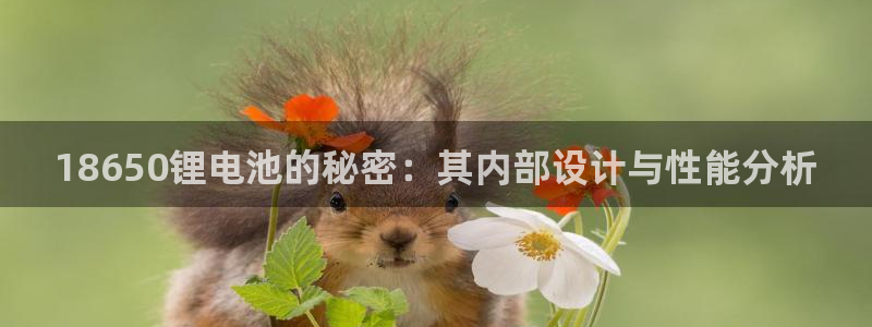 k豆钱包app