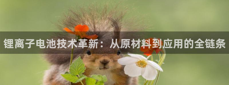 下载一个k豆钱包