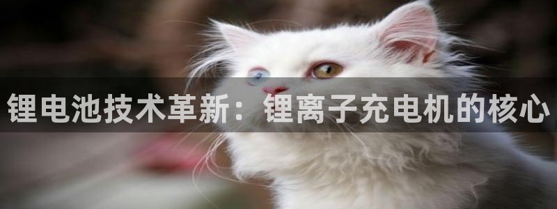 k豆钱包最新版