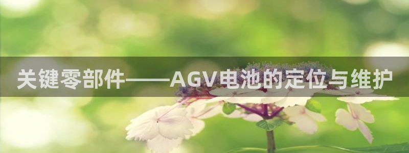 k豆钱包正规吗