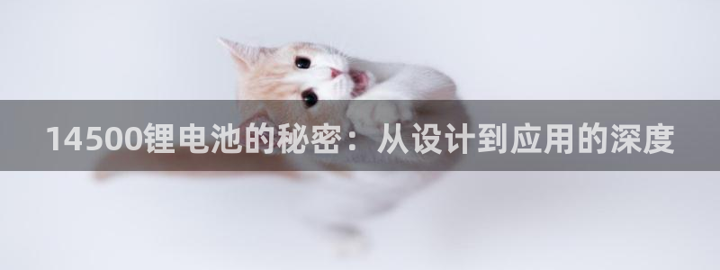 k豆钱包最新版