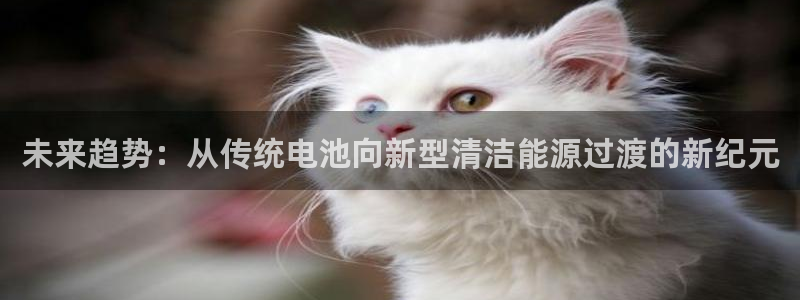 k豆钱包下载不了