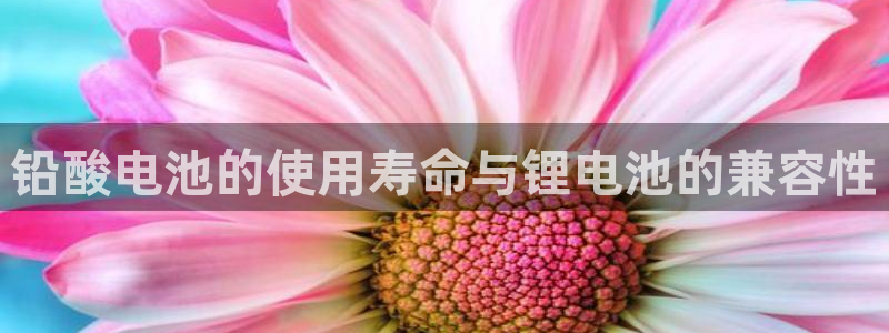 k豆钱包下载不了