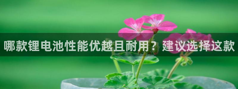 k豆钱包怎么使用
