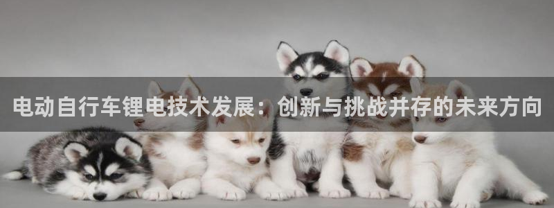 k豆钱包下载官网