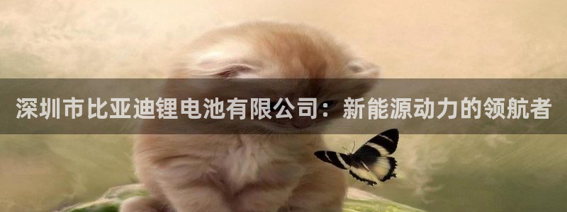 k豆钱包合法吗