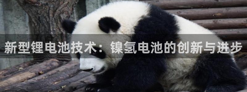 k豆钱包为什么下载不得呢