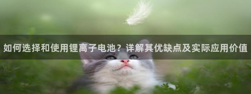 k豆钱包快捷卖豆：如何选择和使用锂离子电池？详解其优缺点及实际应用价值
