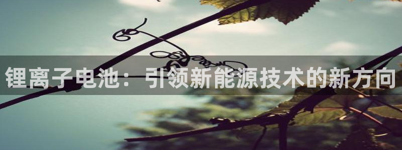 k 豆钱包