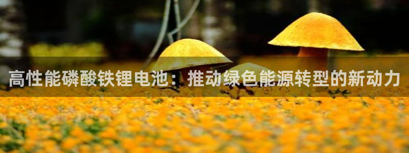 k豆钱包app官网：高性能磷酸铁锂电池：推动绿色能源转型的新动力
