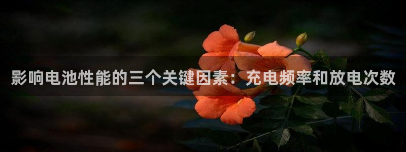 k豆钱包里