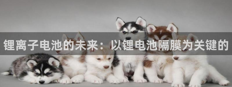 k豆钱包地址：锂离子电池的未来：以锂电池隔膜为关键的
