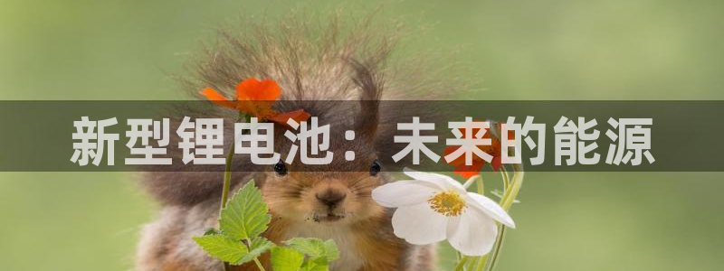 k豆钱包下载地址