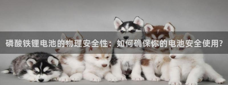 k豆钱包官网入口