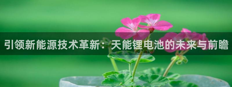 k豆钱包地址在哪看