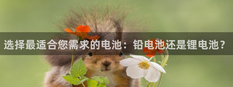 k豆钱包app