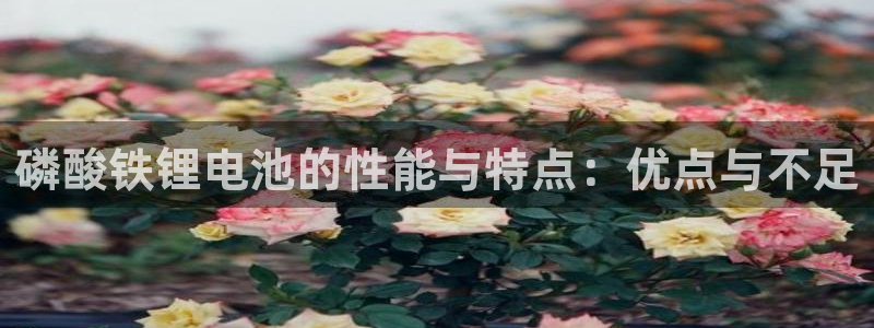 哪里可以下载k豆钱包：磷酸铁锂电池的性能与特点：优点与不足