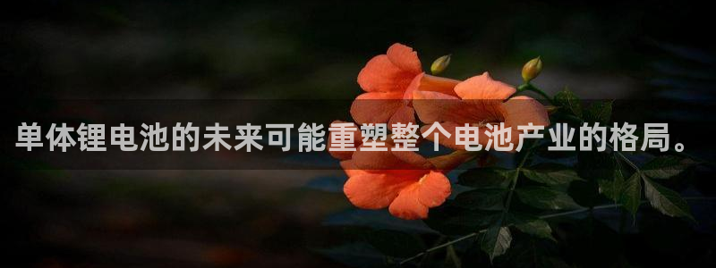 k豆钱包和kdpay是一样的吗：单体锂电池的未来可能重塑整个电池产业的格局。