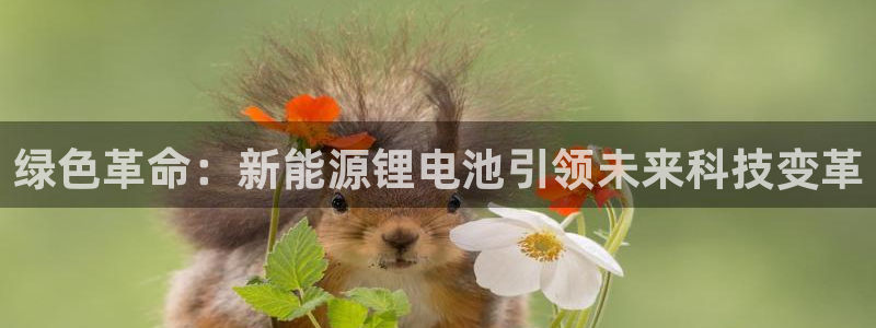 k豆钱包网页：绿色革命：新能源锂电池引领未来科技变革