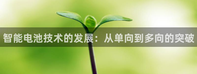 k豆钱包下载不了：智能电池技术的发展：从单向到多向的突破
