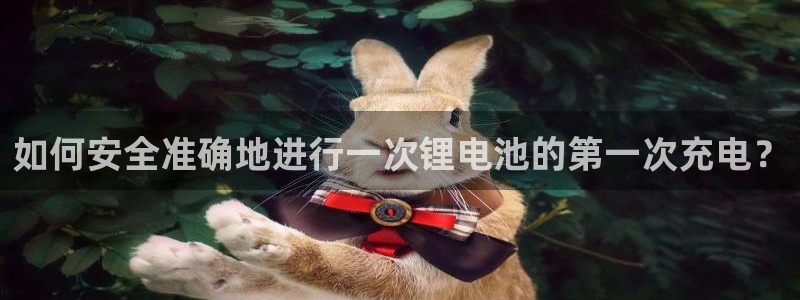 k豆钱包是什么：如何安全准确地进行一次锂电池的第一次充电？