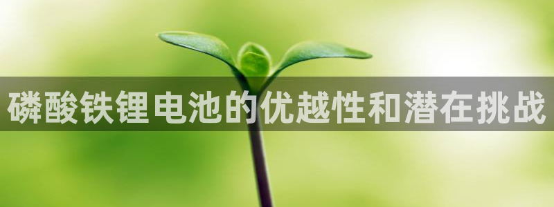 怎么下载k豆钱包app：磷酸铁锂电池的优越性和潜在挑战