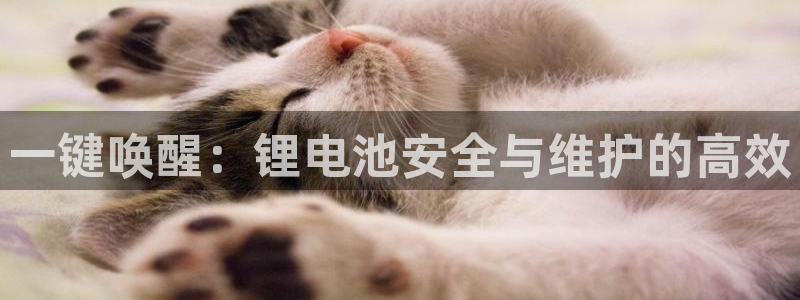 k豆钱包卖豆太难了：一键唤醒：锂电池安全与维护的高效