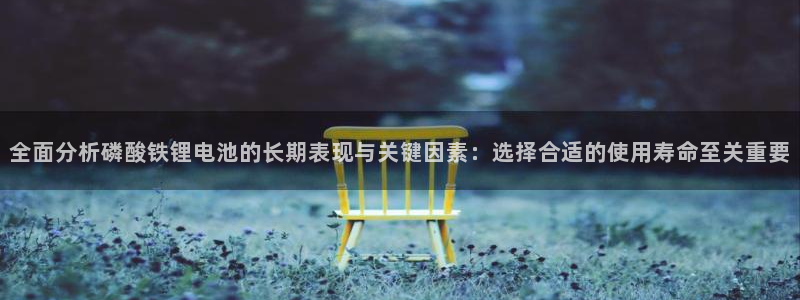 k豆钱包app苹果：全面分析磷酸铁锂电池的长期表现与关键因素：选择合适的使用寿命至关重要
